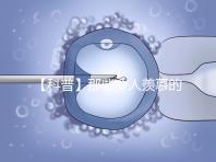 【科普】那些令人羨慕的優質胚胎有什么條件?