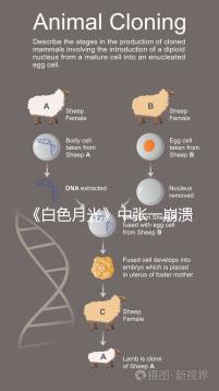 《白色月光》中張一崩潰在孩子面前哭，你認為該不該？