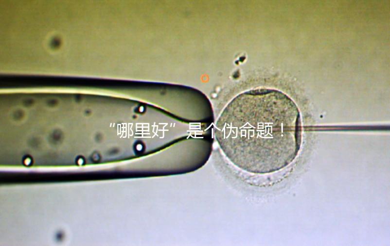 “哪里好”是個偽命題!上海市第十人民醫(yī)院做試管經驗分享