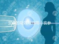 玄參的功效與作用（玄參傷腎還是補腎）