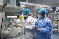 玉女掌門人楊采妮誕下雙胞胎，公布懷孕5月照絕絕子