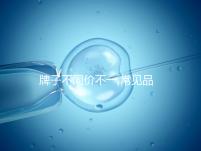 牌子不同價(jià)不一,常見品牌的月經(jīng)杯價(jià)格匯總