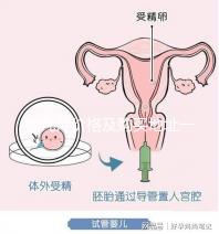 睪丸片價格及購買地址一覽 只需198元