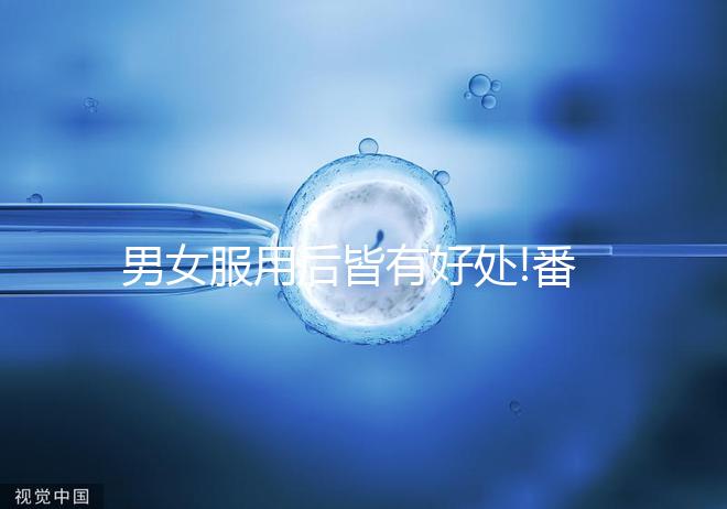 男女服用后皆有好處!番茄紅素的功效與作用全解析