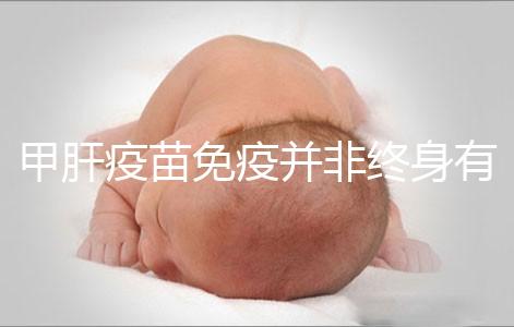 甲肝疫苗免疫并非終身有效，滅活類型抗體持續(xù)時間更久