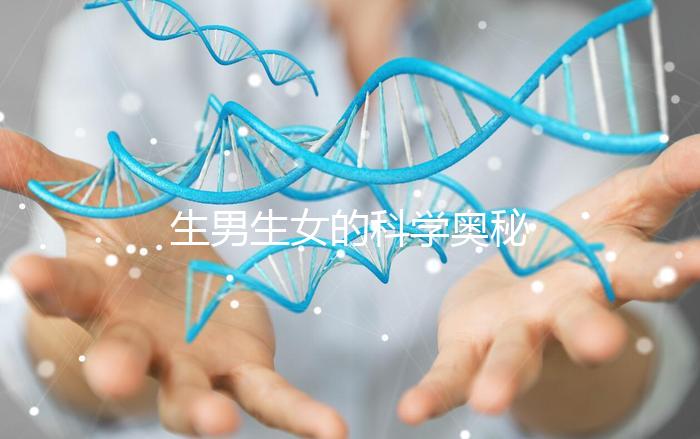 生男生女的科學(xué)奧秘