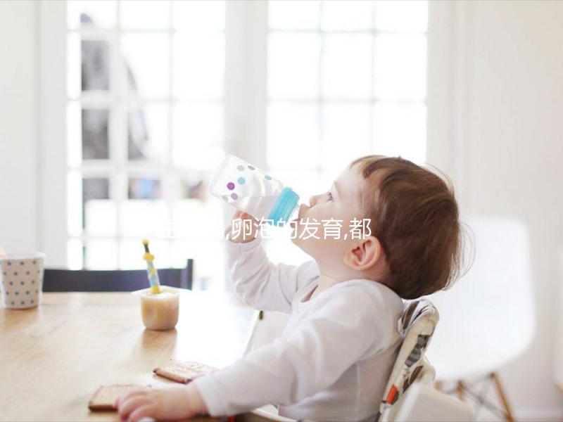 生殖器,卵泡的發(fā)育,都是雌二醇(E2)對女性的意義一部分