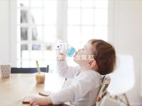 生殖器,卵泡的發(fā)育,都是雌二醇(E2)對(duì)女性的意義一部分