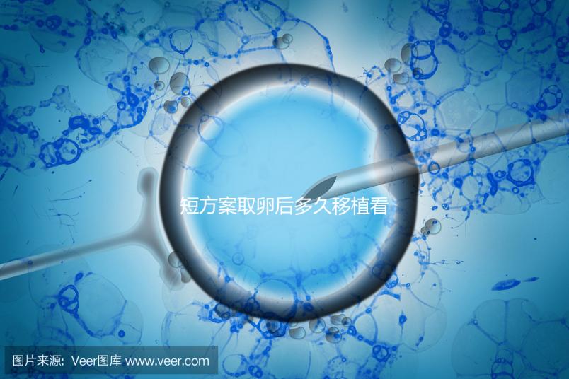 短方案取卵后多久移植看時機(jī),關(guān)于試管你要知道一些事