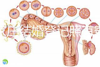 石家莊結(jié)婚登記照有穿著要求如果你想建造一個適合不快速比較的尺寸