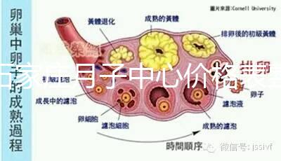 石家莊月子中心價(jià)格表整理,長(zhǎng)安最貴最好的一家原來(lái)是它