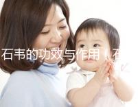 石韋的功效與作用(石韋的功效與作用主要治什么病)