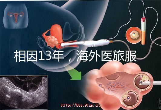 相因13年，海外醫(yī)旅服務(wù)標(biāo)準(zhǔn)制定者