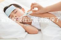 省婦?，F在試管進醫保了嗎