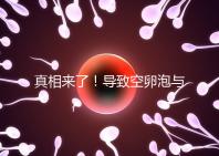 真相來了！導致空卵泡與多囊卵巢有關，區(qū)別在于以下四點，多研究