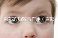 百部的功效與作用(百部酊能根治陰虱嗎)