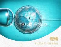網上回答只有一個凍胚,不建議養(yǎng)囊試管夫婦快速生活
