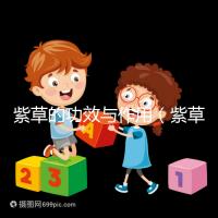 紫草的功效與作用(紫草的功效與作用與主治)