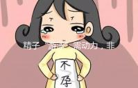 精子“游泳”需動力，非前向運動率低才有好孕