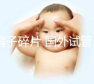 精子碎片 國外試管