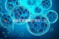 縱隔子宮患者懷孕后，五大注意事項不容忽視！科學防止胎兒停止