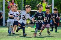 紅花功效與作用(男人喝紅花對性功能好嗎)