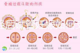 絕經后試管妊娠如何支持黃體戳，醫生：掌握時間很重要