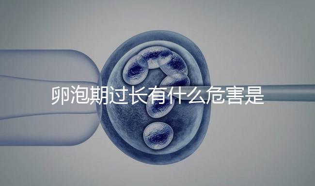 卵泡期過長有什么危害是否會影響懷孕