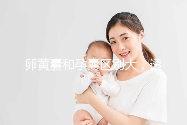 卵黃囊和孕囊區別大，透過B超首次為你揭露其形狀