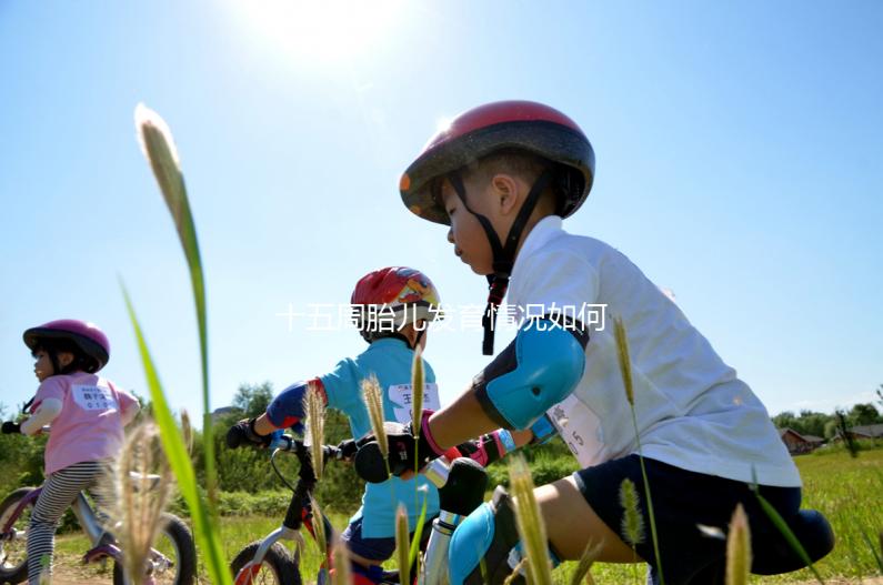 十五周胎兒發(fā)育情況如何？