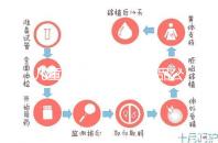 兒童牙膏十大國(guó)產(chǎn)產(chǎn)品公布,2024年哪些品牌看這個(gè)