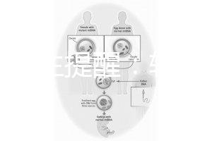 兒科醫(yī)生提醒:輪狀疫苗有不良反應(yīng),輕微表現(xiàn)持續(xù)時間短