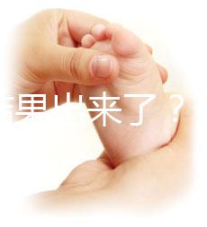 養囊結果出來了？3ab囊胚成功率、質量好不好看這里