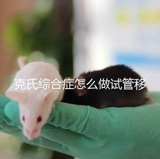 克氏綜合癥怎么做試管移植看這，促排取卵一個流程不能少