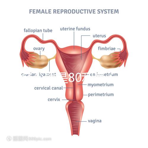 借多少錢(qián)是80利息（借多少錢(qián)是80利息的）
