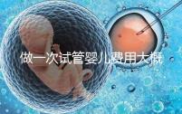 做一次試管嬰兒費(fèi)用大概多少 試管嬰兒費(fèi)用受四因素影響