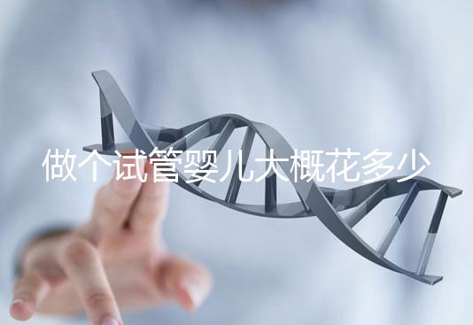 做個(gè)試管嬰兒大概花多少錢(做個(gè)試管嬰兒得花多少錢)