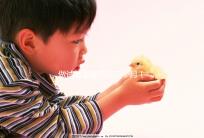 做試管最難熬的三個月(我44歲做了3次試管嬰兒)