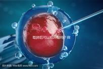 取卵后可以吃葉酸嗎?做過(guò)試管的姐妹們都這么說(shuō)...