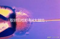 取卵后吃蝦有4大益處，且聽本文娓娓道來！