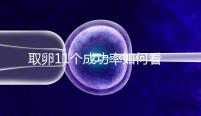 取卵11個(gè)成功率如何看胚胎配成數(shù),只受精兩個(gè)要找找原因
