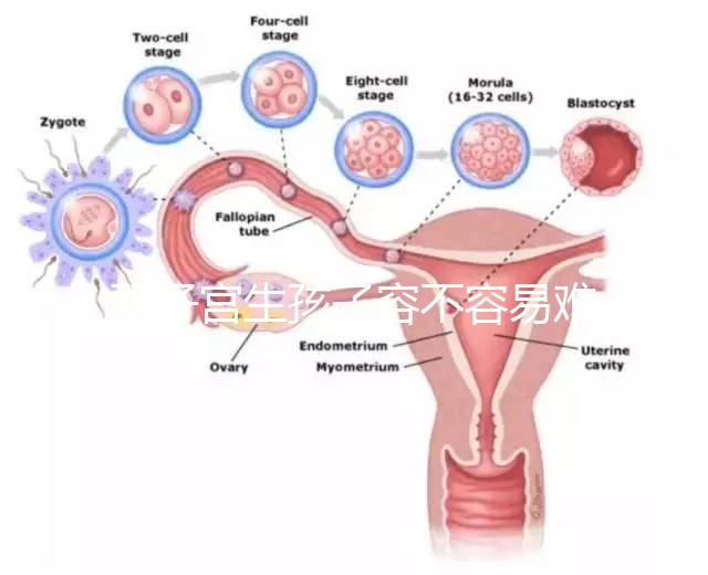 雙子宮生孩子容不容易難產(chǎn)看情況，注意這幾點(diǎn)也能順利抱娃