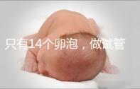 只有14個卵泡,做試管嬰兒到底要不要養(yǎng)囊?