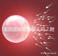 醫院能做試管嬰兒嗎?附上可以做的治療方案介紹
