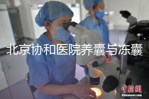 北京協(xié)和醫(yī)院養(yǎng)囊與凍囊費(fèi)用參考,做好這4點(diǎn)成功率上漲