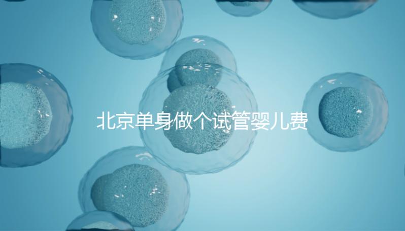 北京單身做個試管嬰兒費用大概要多少？