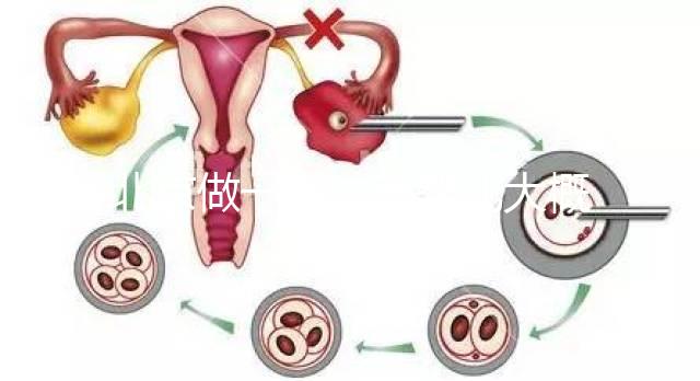 北京做一次試管嬰兒大概花多少錢?2025年價格及明細(xì)清單一覽!