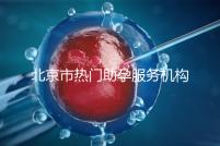 北京市熱門助孕服務機構排名榜單！這三家性價比比較出眾！