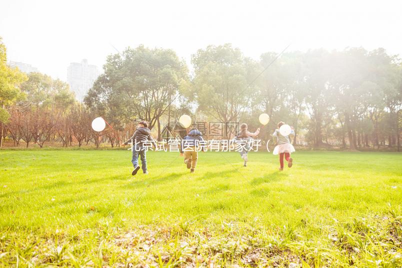 北京試管醫(yī)院有那家好(北京試管醫(yī)院排名哪家好)