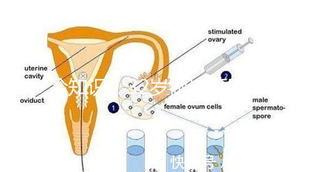 冷知識(shí)！32歲做試管嬰兒提升成功率的方法請(qǐng)收藏